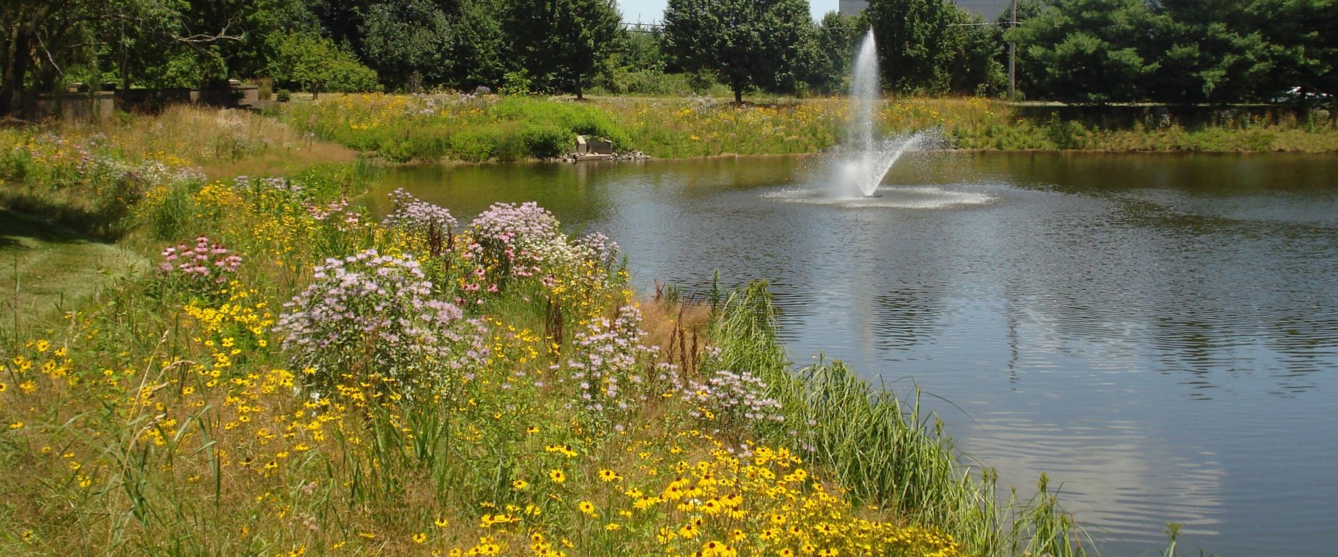 Understanding Water Quality in Your Community