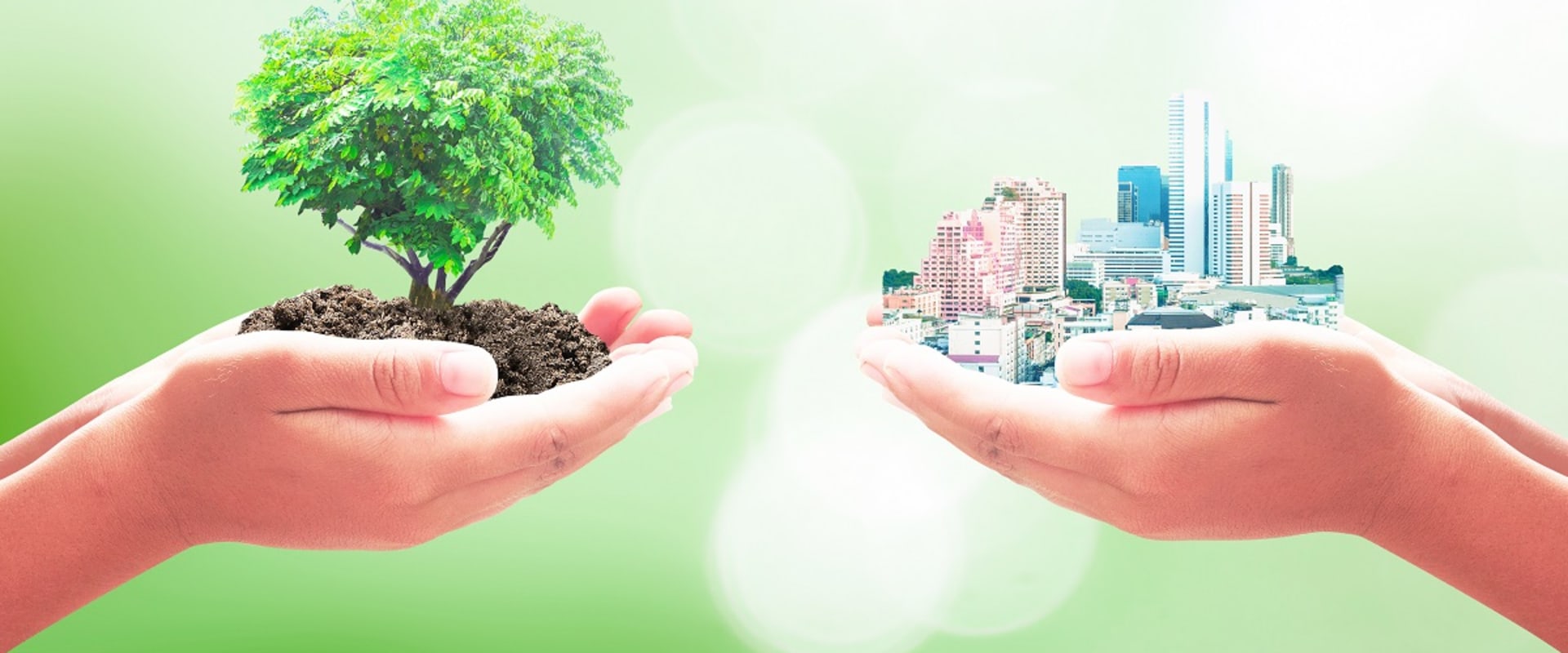 Sustainable Practices for a Better Community