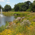 Understanding Water Quality in Your Community