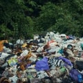 Waste Management in Your Local Community