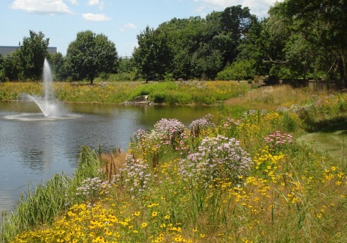 Understanding Water Quality in Your Community