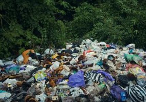 Waste Management in Your Local Community